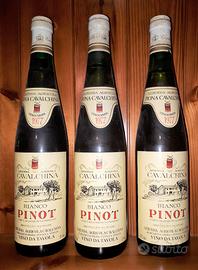 VINO Da Collezione PINOT BIANCO 1977 PIONA CUSTOZA