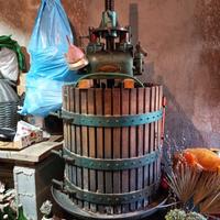 Attrezzatura per la vinificazione