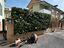 Immagine 9