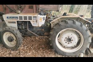  Trattore Lamborghini 603 dbt frutteto 