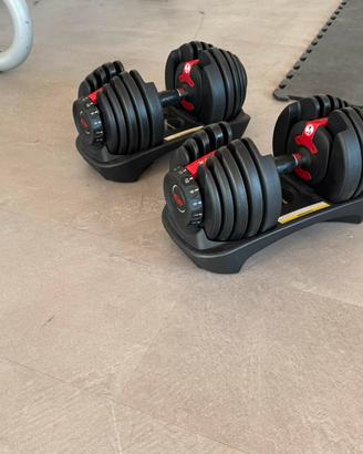 Set di pesi BowFlex
