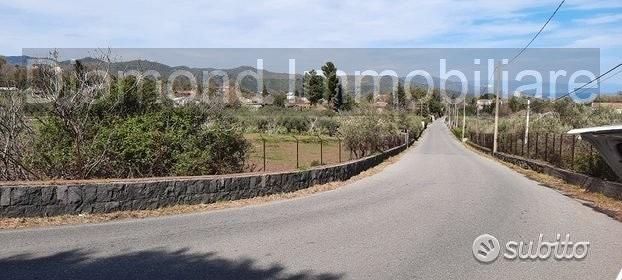 Terreno 15.000 mq a piedimonte etneo - Vista 3