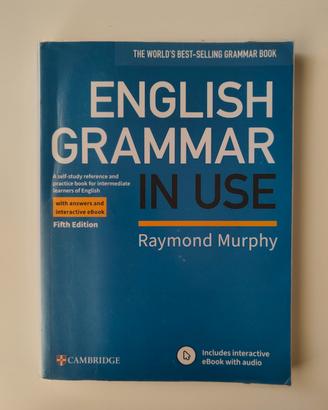 English Grammar in Use