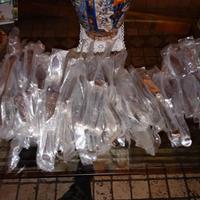 coltelli pesce nuovi