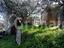 Immagine 7