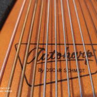 Autoarpa famosa appartenuta a Grayce Bradt