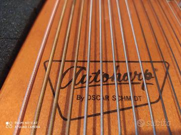 Autoarpa famosa appartenuta a Grayce Bradt