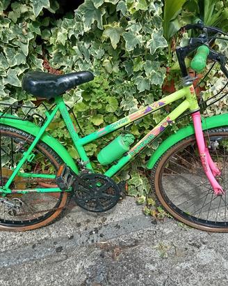 Mountain bike 