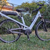 Bici Elettrica Riese & Muller Culture motore Bosch