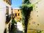 Immagine 13