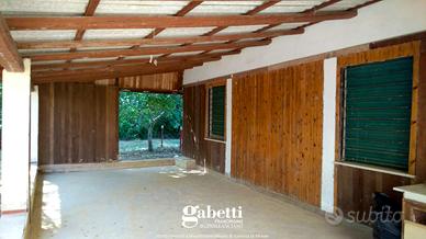 Magazzino Lanciano [v439VCG]