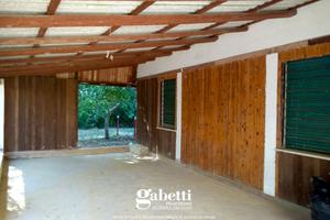 Magazzino Lanciano [v439VCG]