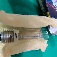 Lampadina colorata e lampadina alogena