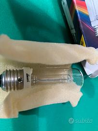 Lampadina colorata e lampadina alogena