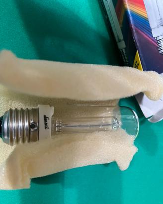 Lampadina colorata e lampadina alogena