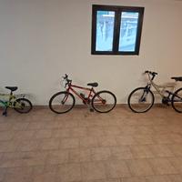 biciclette bambino e ragazzo 