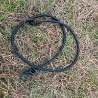 Cinghie elastiche 1 mt