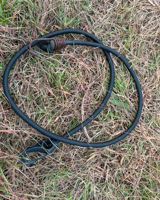 Cinghie elastiche 1 mt