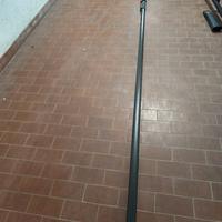 Tagliarami telescopico