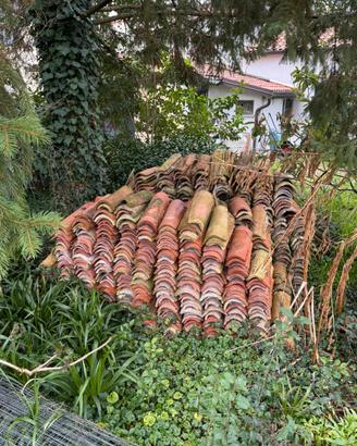 Coppi terracotta fine ‘800