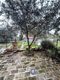Cielo Terra a San Severino