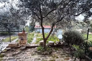Cielo Terra a San Severino