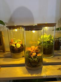 Terrarium