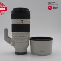 Sony FE 100-400 F4.5-5.6 GM OSS (Sony)