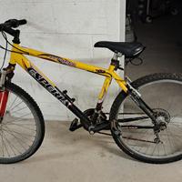 montain bike ragazzo