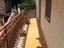 Immagine 17