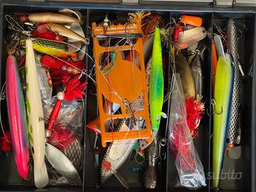 Scatola con esche artificiali luccio siluro mare