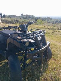 quad 250cc