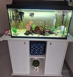 acquario con mobile 