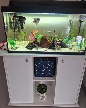 acquario con mobile 