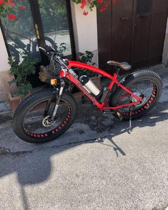 FAT BIKE ASSISTITA