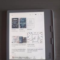 Kobo ereader