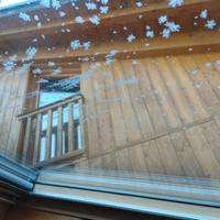 App. AL BRENZ Croviana DimaroFolgarida