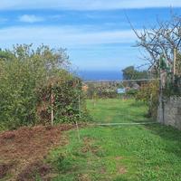 Castanea,terreno agricolo di circa 3300mq,