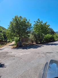 Terreno agricolo 10.000 mq