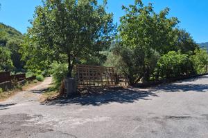 Terreno agricolo 10.000 mq