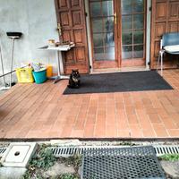 Gatta sterilizzata 10 anni