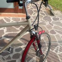 Bicicletta Pedalata Assistita