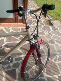 Bicicletta Pedalata Assistita