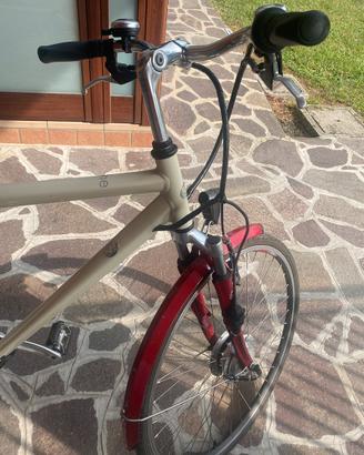 Bicicletta Pedalata Assistita