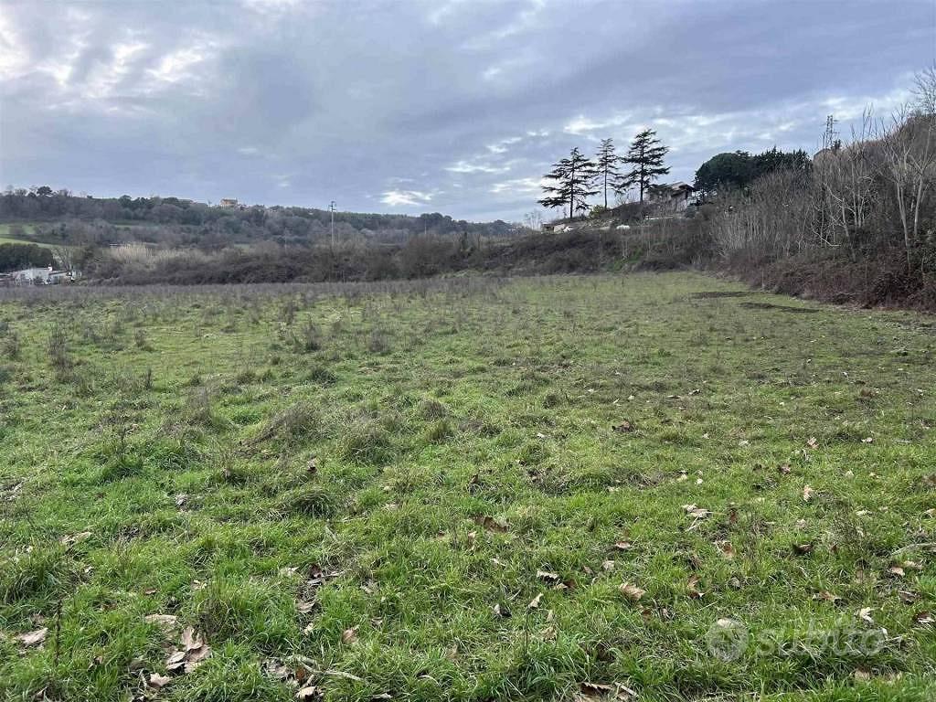 Terreno di 13000 m² a Tuscania - Vista 2
