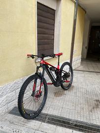e-mtb crafty r