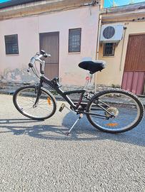 Bici ruota 24 