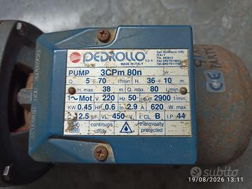 Pompa acqua Pedrollo 3CPm 80n LEGGI BENE