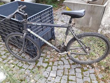 Bicicletta Bottecchia