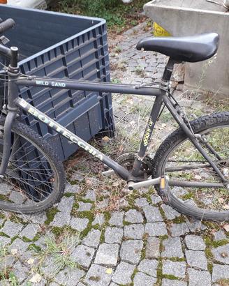 Bicicletta Bottecchia